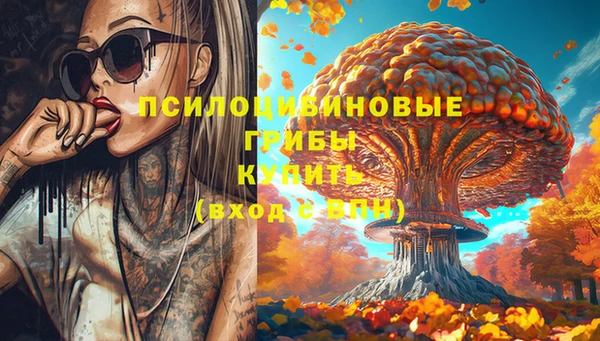 индика Верхний Тагил